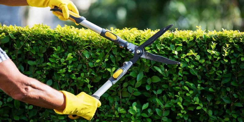 garden maintenance service Blackburn