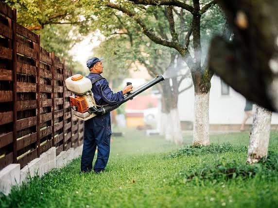 Tree Pest Control Melbourne